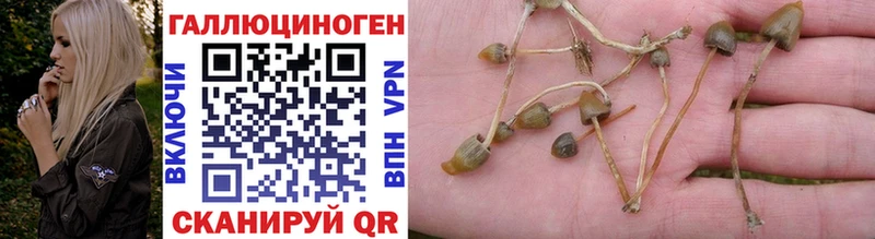 площадка формула  Реутов  Псилоцибиновые грибы MAGIC MUSHROOMS 