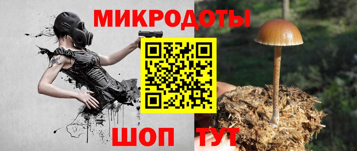 Галлюциногенные грибы GOLDEN TEACHER  Псилоцибиновые грибы Cubensis  Вход с VPN  Реутов 